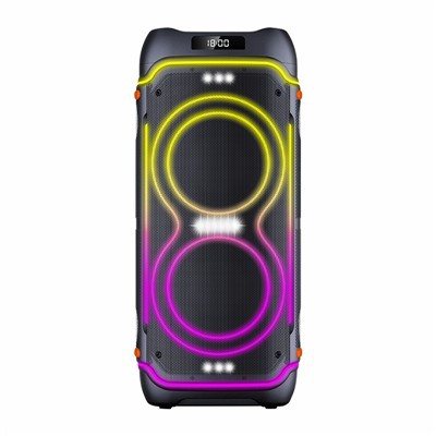 Dubbele 10 inch grote luidspreker